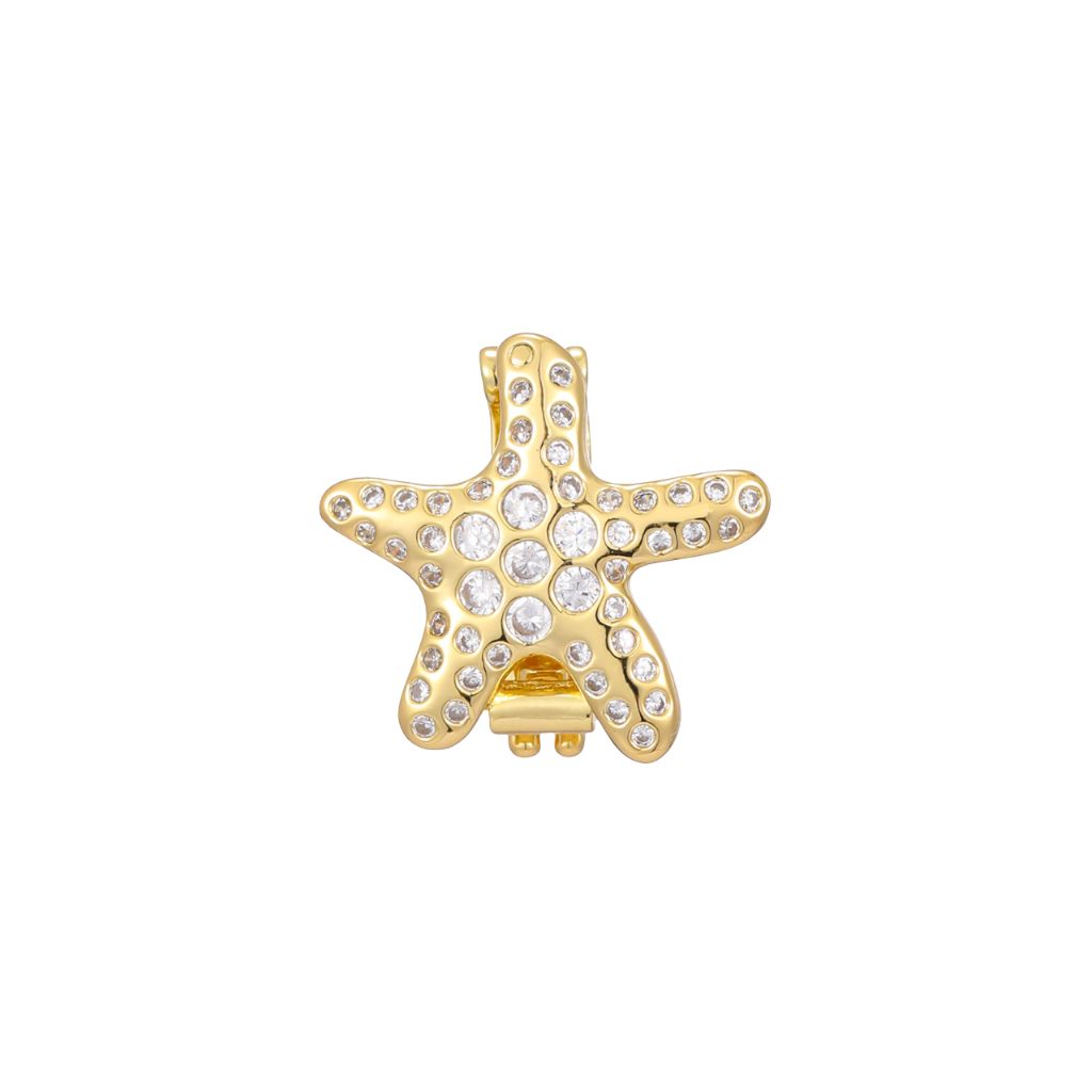 Charm Naroa Estrela do Mar Dourada Zircônia
