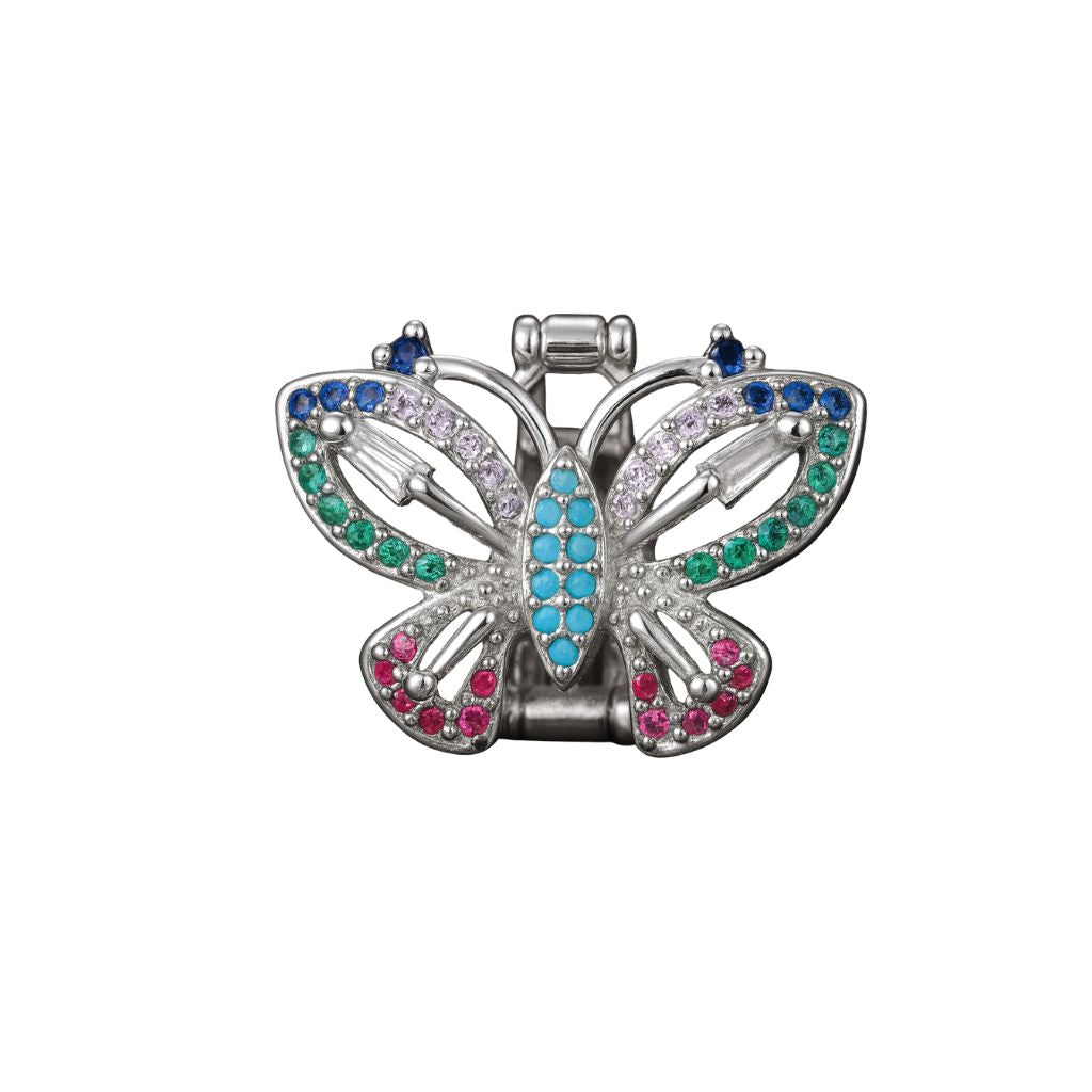 Charm Naroa Borboleta Prata Color