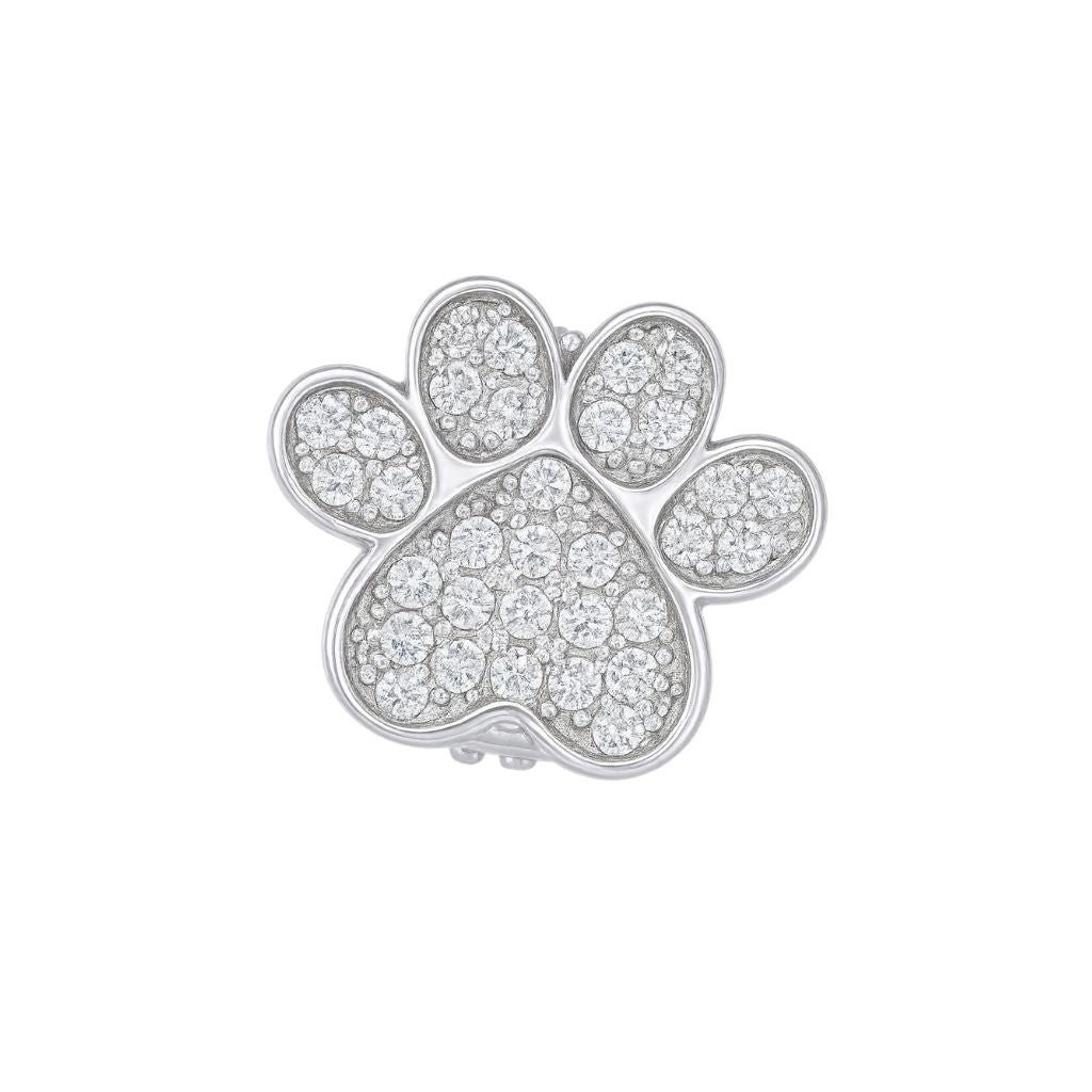 Charm Naroa Patinha Prata